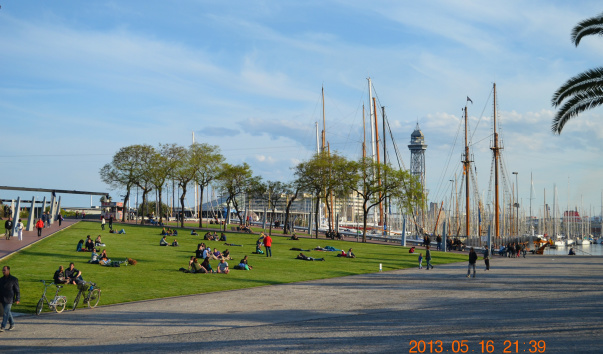 DSC_0345