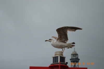 photo 400338
