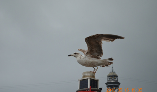 DSC_0260