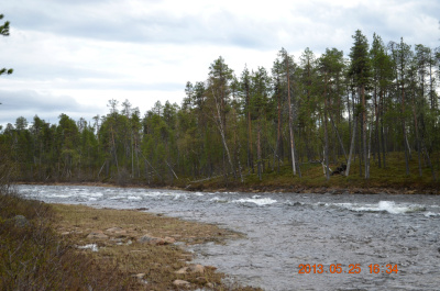 photo 377332