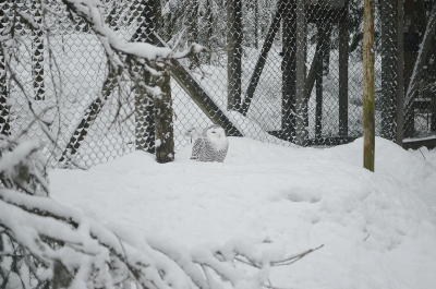 photo 628465