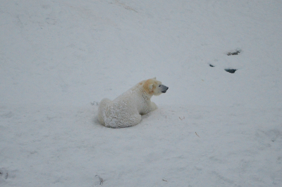 photo 628469