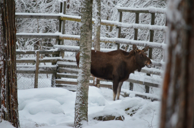 photo 628471