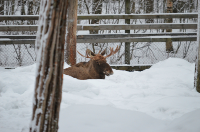 photo 628472