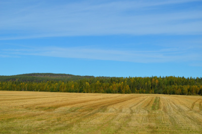 photo 506509