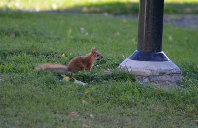 photo 506521