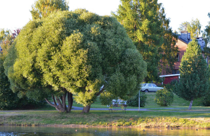 photo 507700