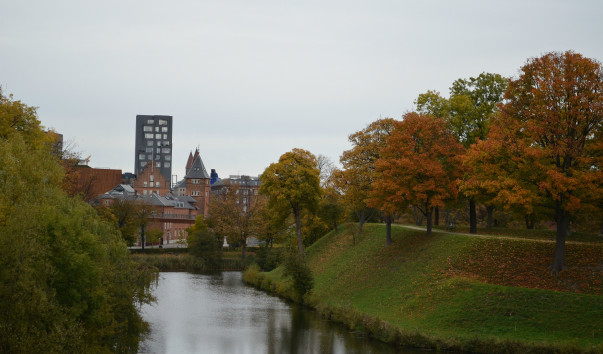 DSC_1252