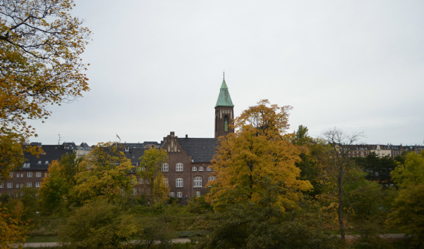DSC_1251