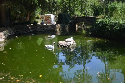 photo 794523