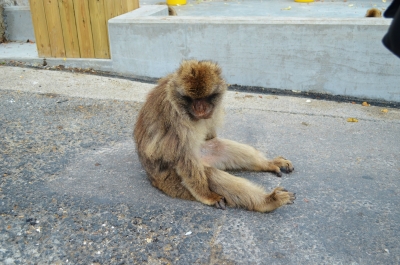 photo 807013