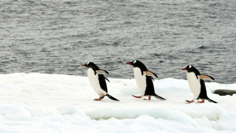 photo 756467