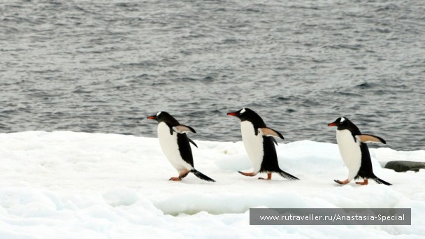 photo 756467