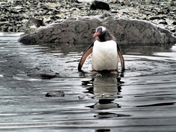 photo 756469