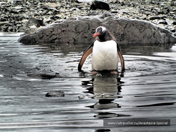 photo 756469