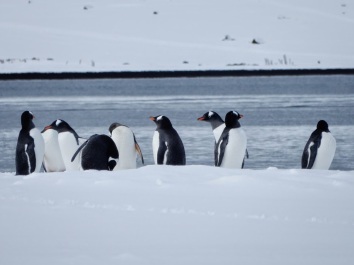 photo 1076555