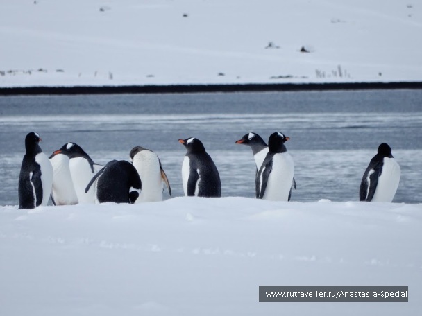 photo 1076555