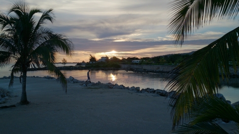 photo 568317