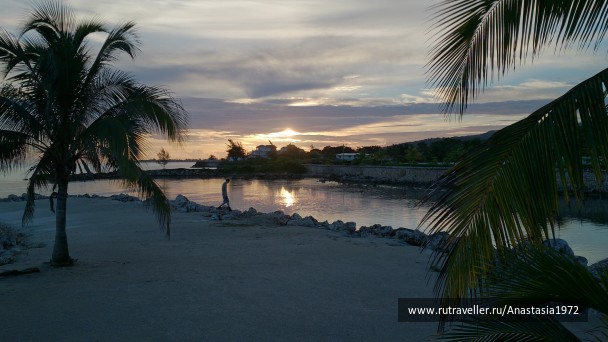 photo 568317
