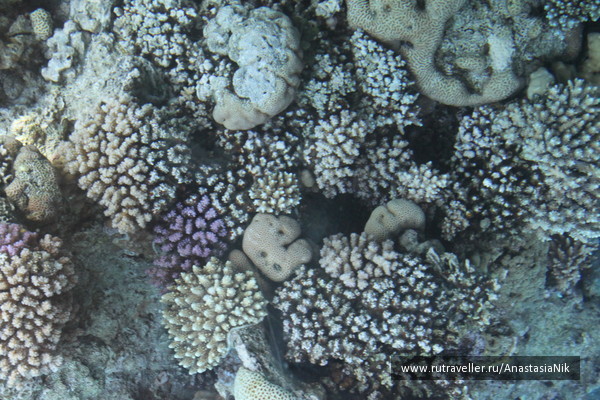 photo 471913