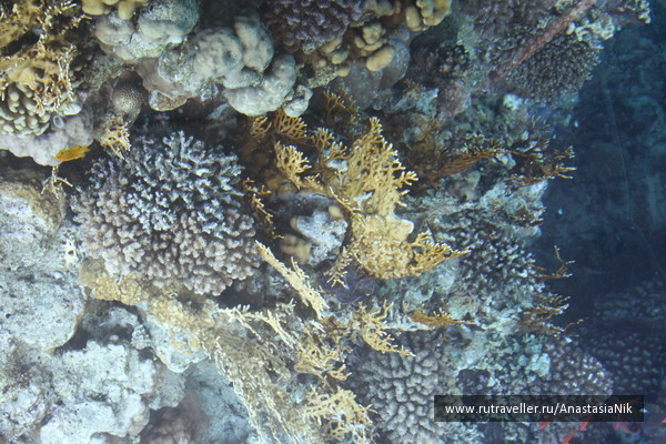 photo 471914