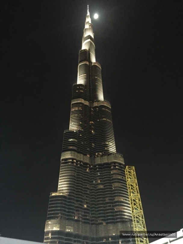 photo 1017471