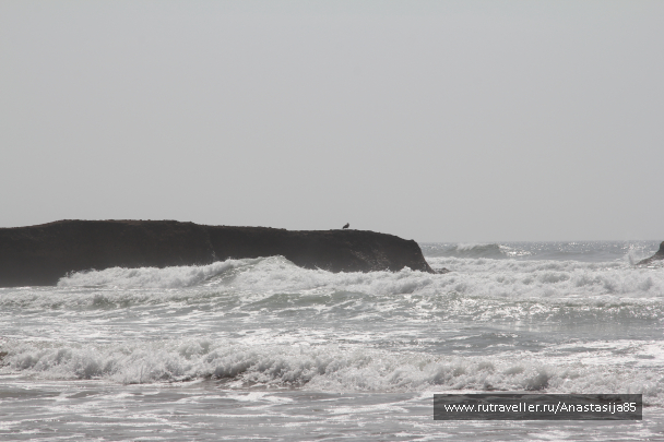 photo 1378998