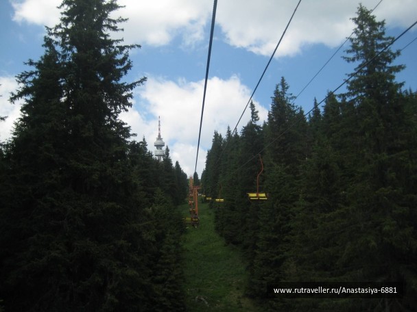 photo 475933