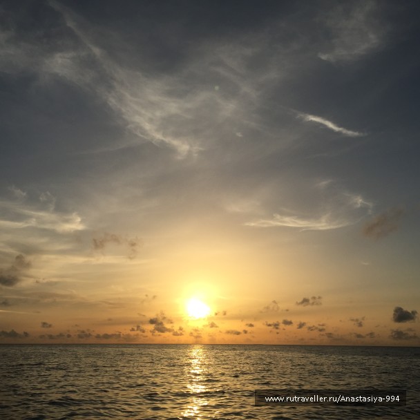 photo 1236642