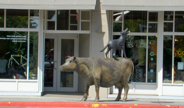 DSC01008.