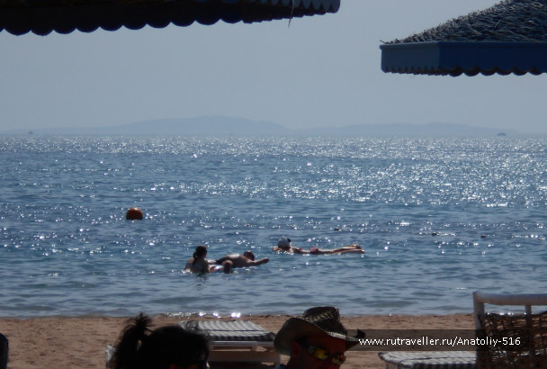 photo 1409782