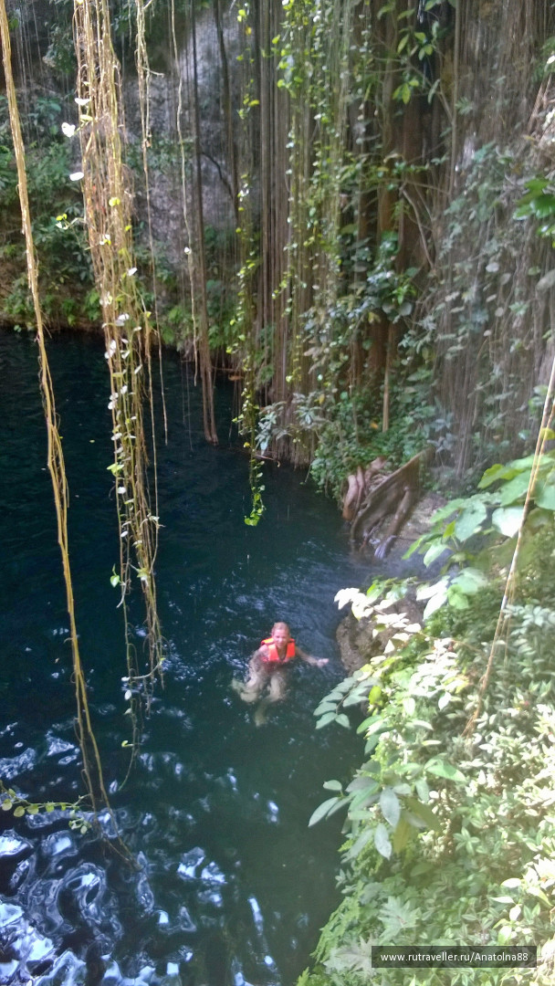 photo 1226098
