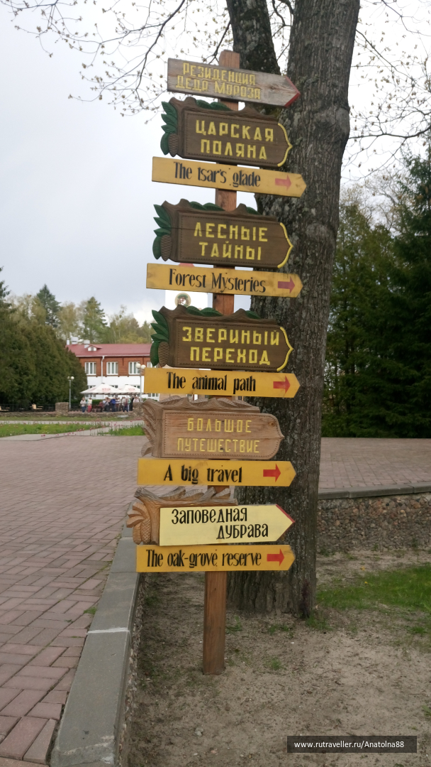photo 1293329