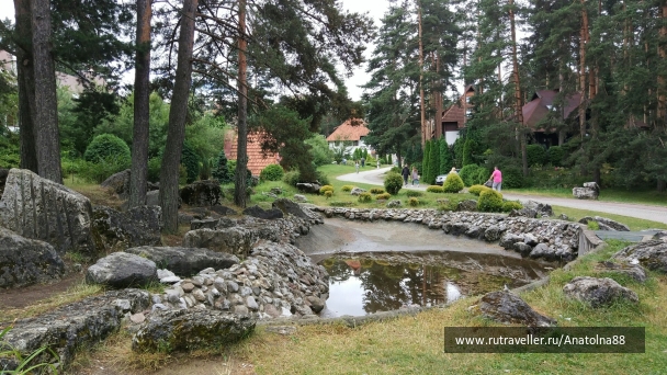photo 1517446