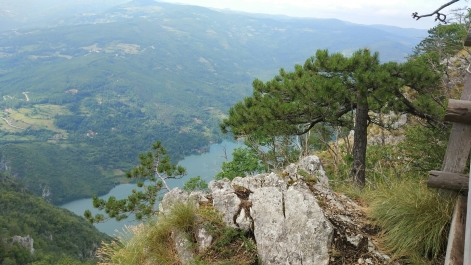 photo 1517454