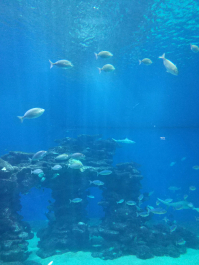 photo 1606599