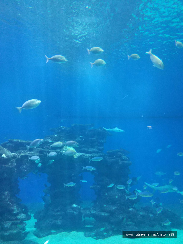 photo 1606599