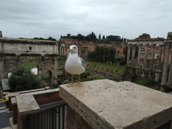 photo 1699747
