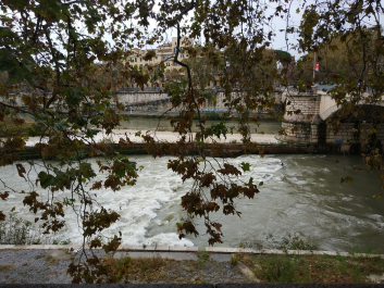 photo 1699749