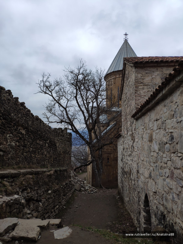 photo 1753339