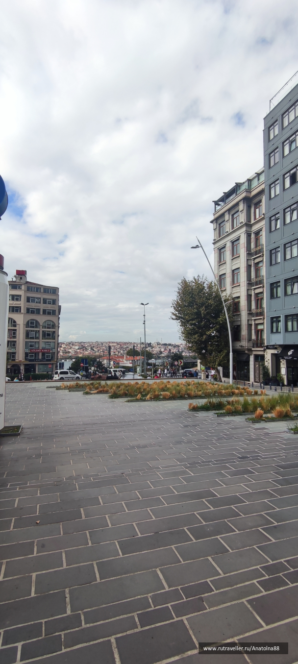photo 2023919