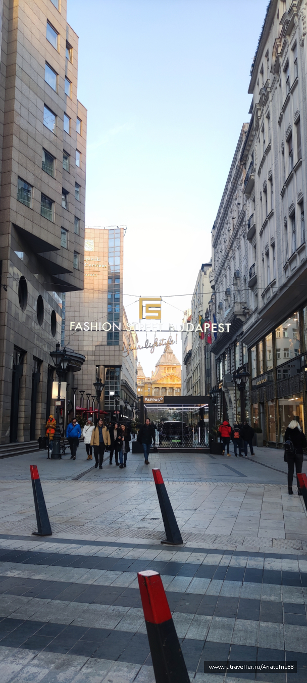 photo 2039232
