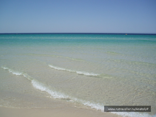 photo 460798