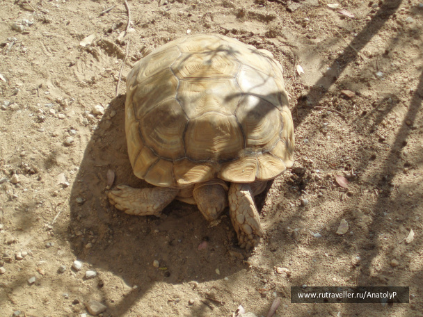 photo 460956