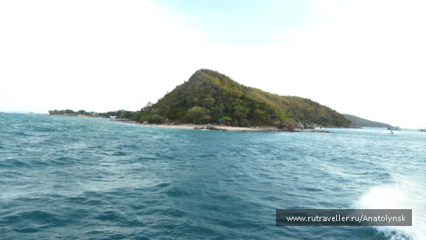 photo 428263
