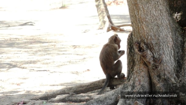 photo 403725