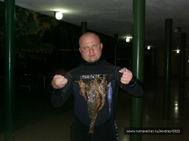 photo 538623