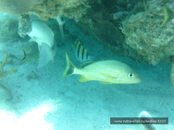photo 538692