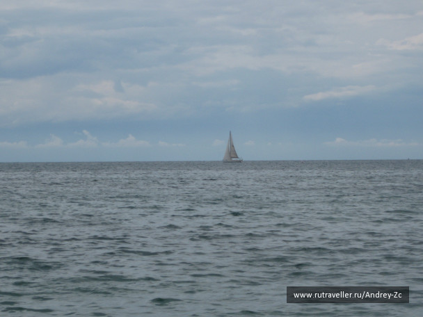 photo 994132