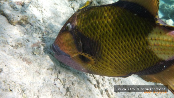 photo 869581